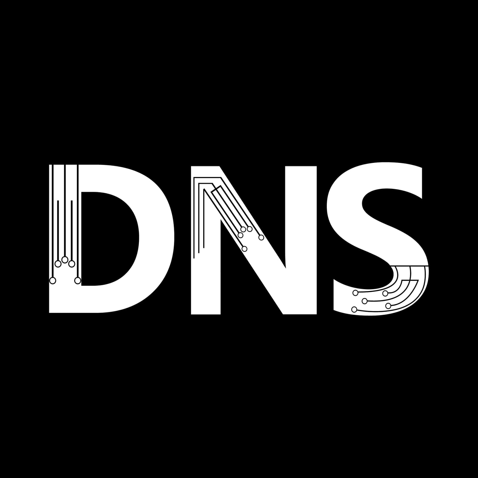 dns-logo